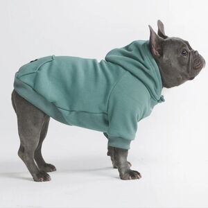 Dog Hoodie